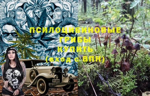 MESCALINE Бородино