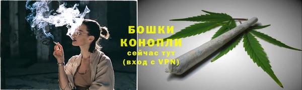 PSILOCYBIN Верея