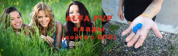 PSILOCYBIN Верея
